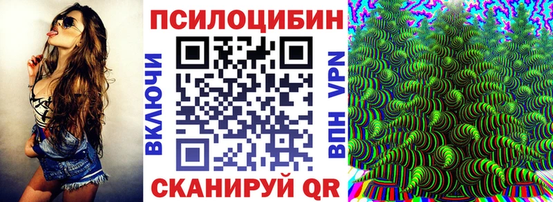 где найти наркотики  Корсаков  Псилоцибиновые грибы мицелий 